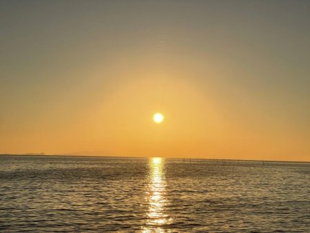 いつまでキスは釣れるかな?ついに落ちギス来るか。